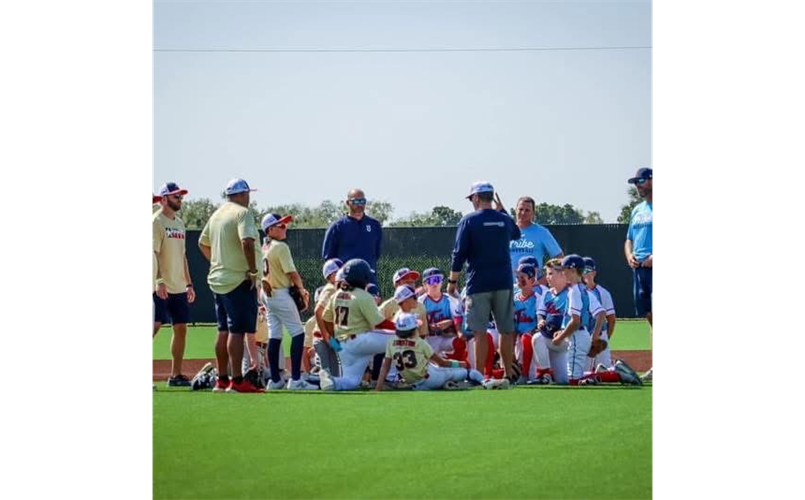 Elite Baseball